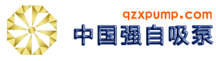 中国强自吸泵,强自吸泵